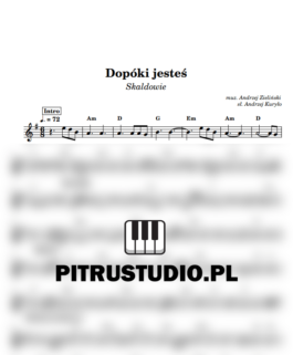 Dopóki jesteś – Skaldowie