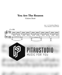 You Are The Reason – Calum Scott