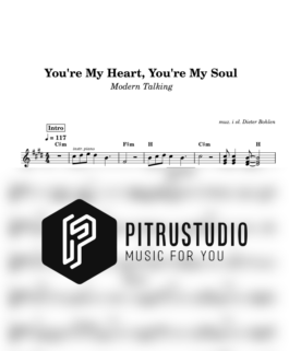 You’re My Heart You’re My Soul – Modern Talking