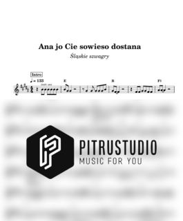 Ana jo Cie sowieso dostana – Śląskie szwagry