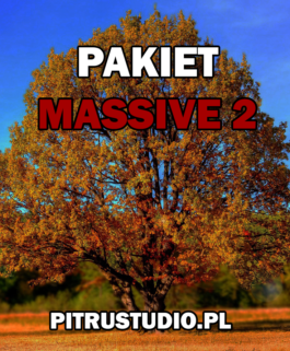 Pakiet Massive 2