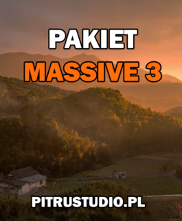 Pakiet Massive 3