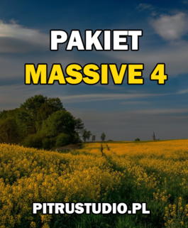 Pakiet Massive 4