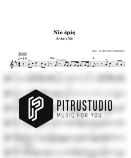 Nie śpię – Antartlife